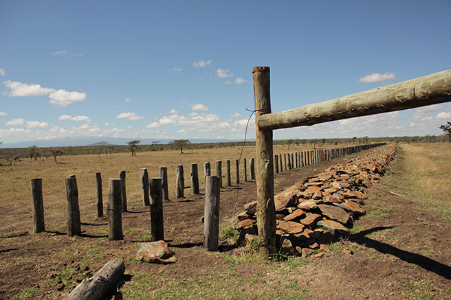 The Wildlife And Wild Lands Of Kenya